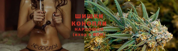 гидра Заводоуковск
