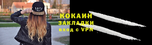 сатива Фурманов