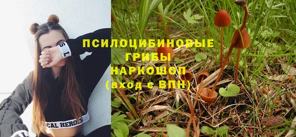 крисы Ханты-Мансийск